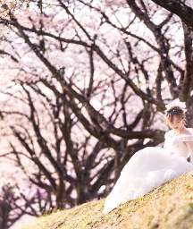 ソロウェディング写真