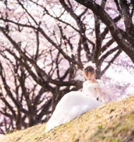 ソロウェディング写真