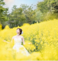 ソロウェディング写真