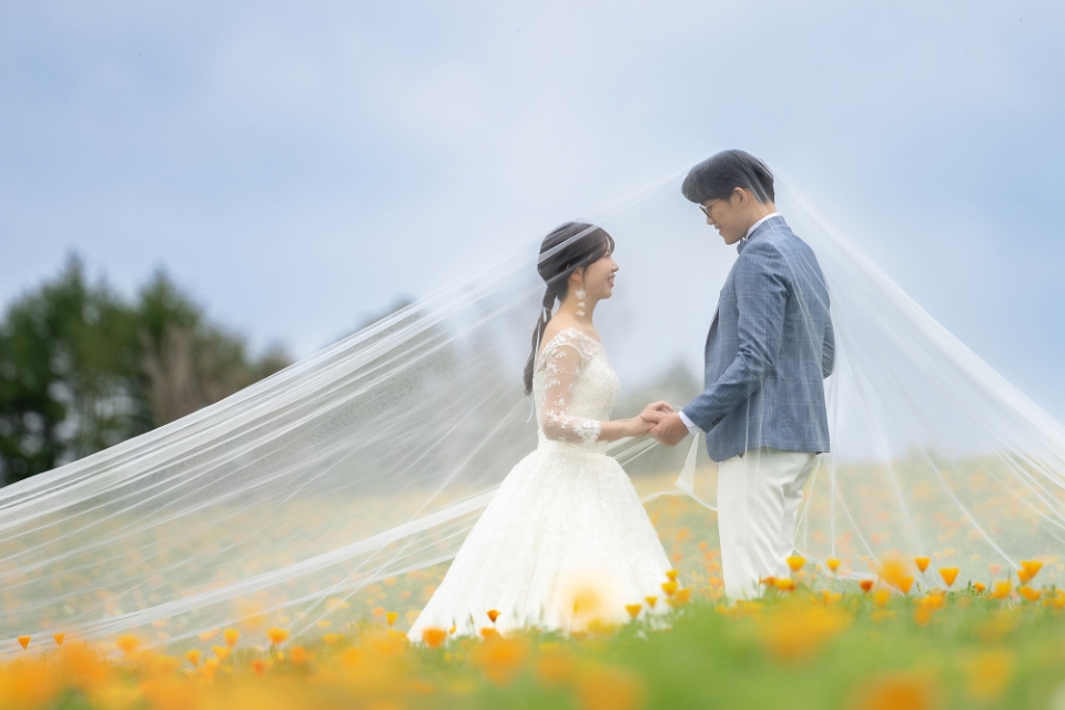 ウェディング写真