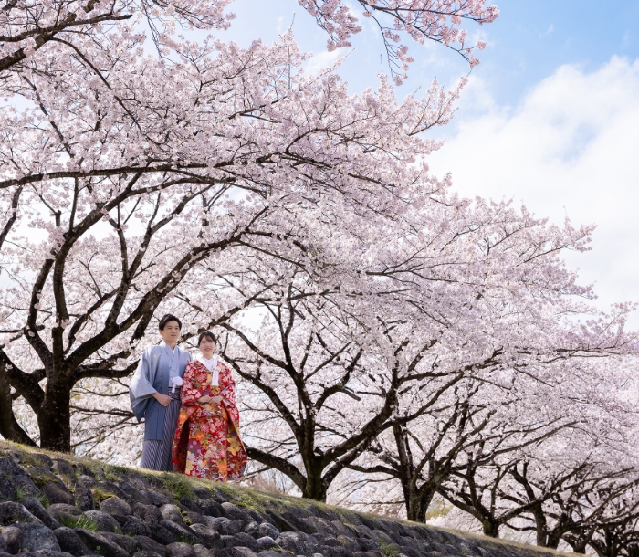 フォトギャラリー