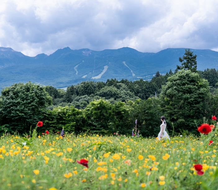 キャンセルポリシー