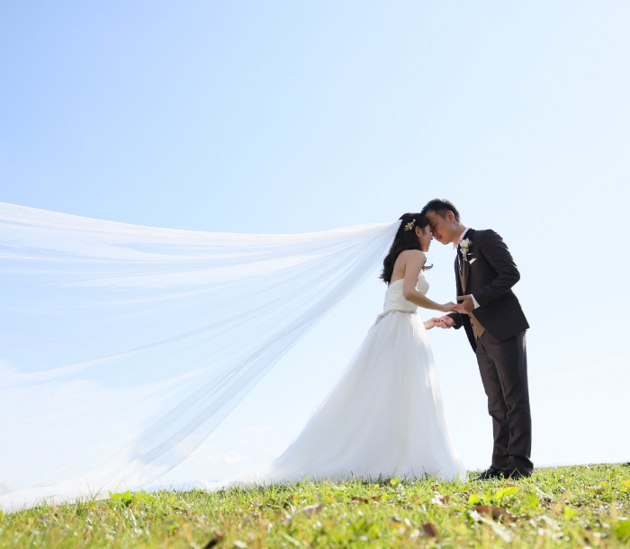 フォトギャラリー