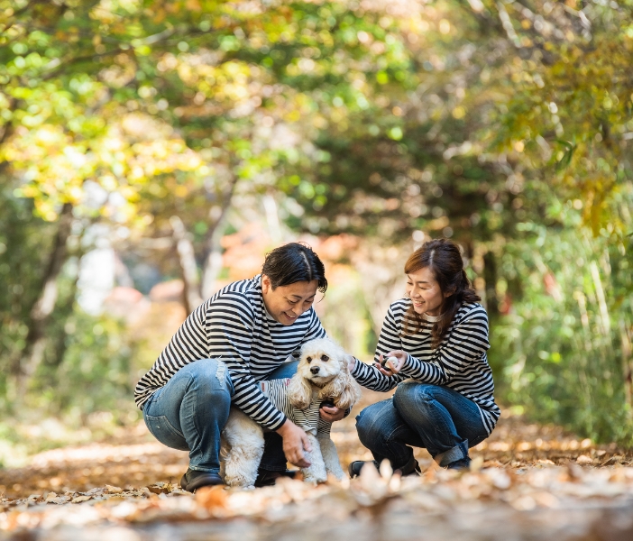 ペット記念撮影