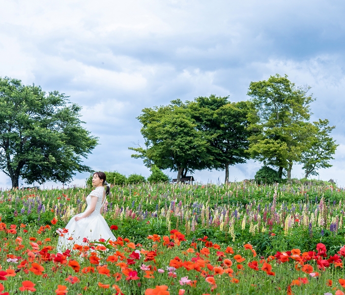 ソロウェディング撮影