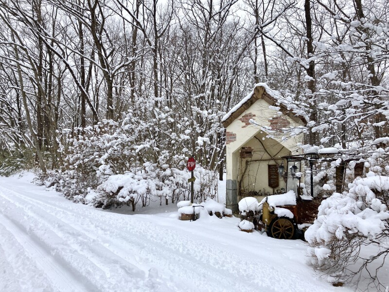 幻想的な雪景色♪