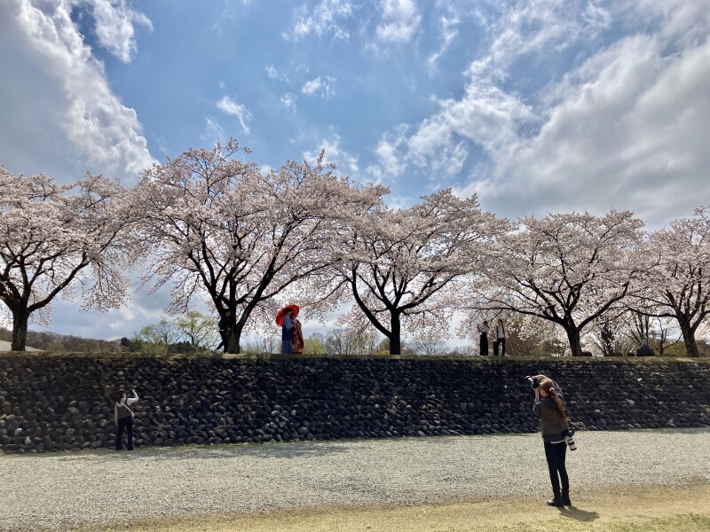 満開の桜とともに♡撮影オフショット