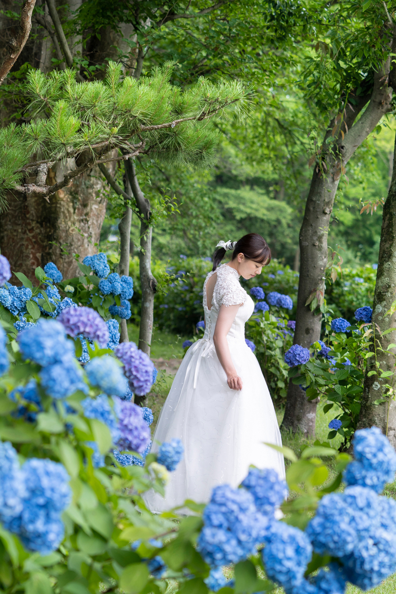 紫陽花と楽しむ初夏のロケーション撮影
