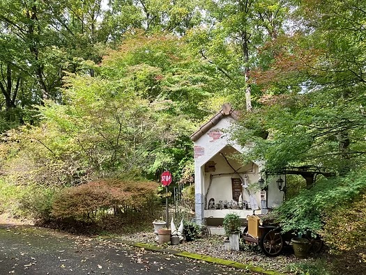 【紅葉速報！】森のガーデン＆神社の最新状況について