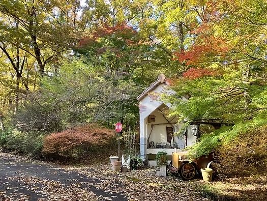 <11/4最新>森のガーデンの紅葉状況をお知らせ！