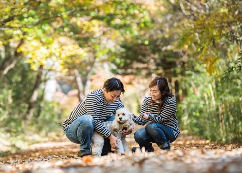 わんにゃん撮影
